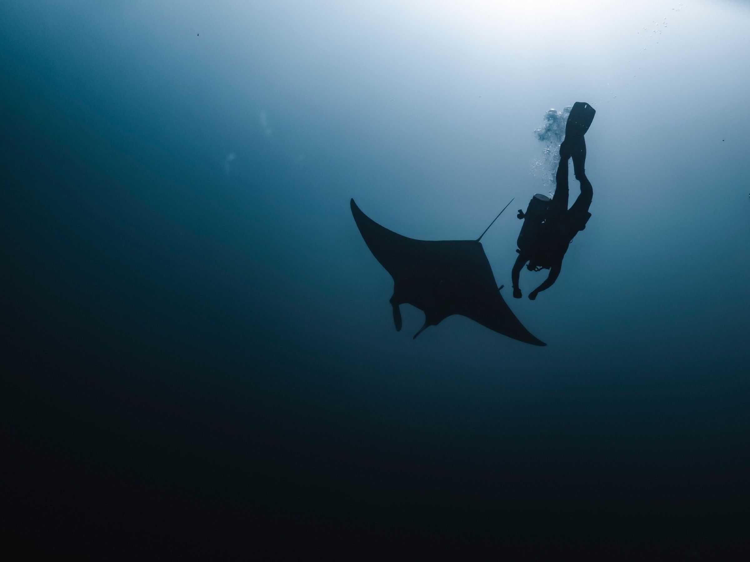 Snorkeling at Manta Point, Nusa Penida